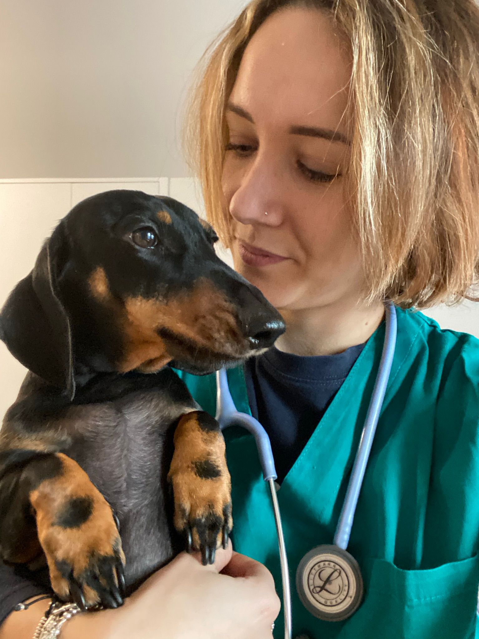Un veterinario in camice verde acqua e stetoscopio tiene delicatamente in mano un bassotto nero focato, guardandolo con un'espressione premurosa, proprio come Lorenza Poschetto Ferrero, nota per le sue cure compassionevoli.