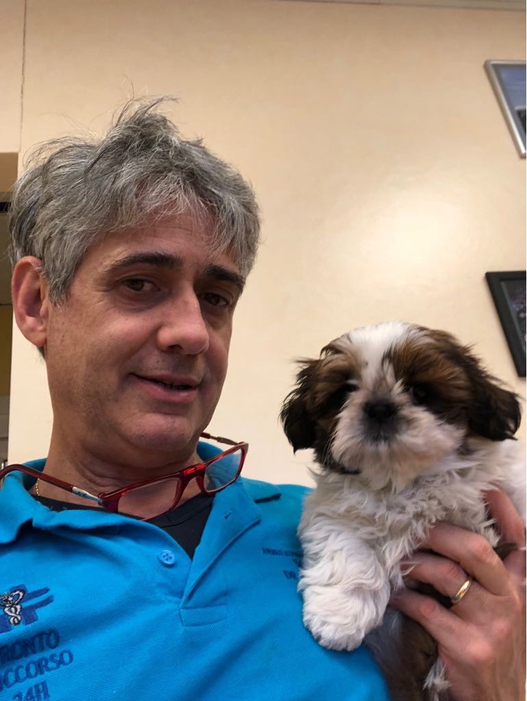 Un uomo con i capelli grigi e una camicia blu tiene in braccio un piccolo e soffice cucciolo marrone e bianco. L'uomo sorride leggermente e porta gli occhiali al collo. Ambientazione interna con una parete beige sullo sfondo.