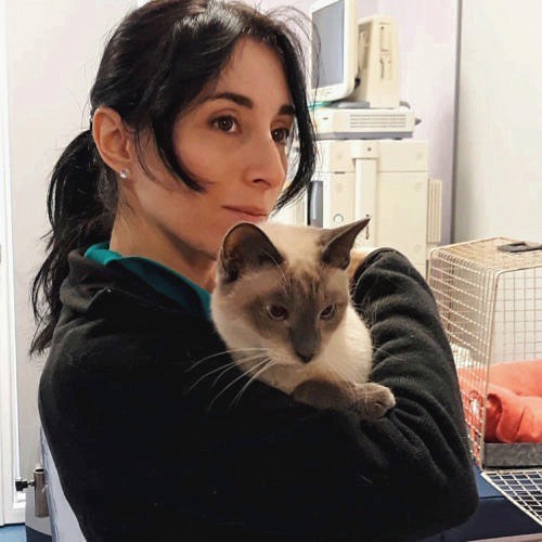 Una donna dai capelli scuri tiene in braccio un gatto siamese. Guarda di lato con un'espressione calma. Sullo sfondo, ci sono attrezzature per animali, tra cui un trasportino e dispositivi veterinari.