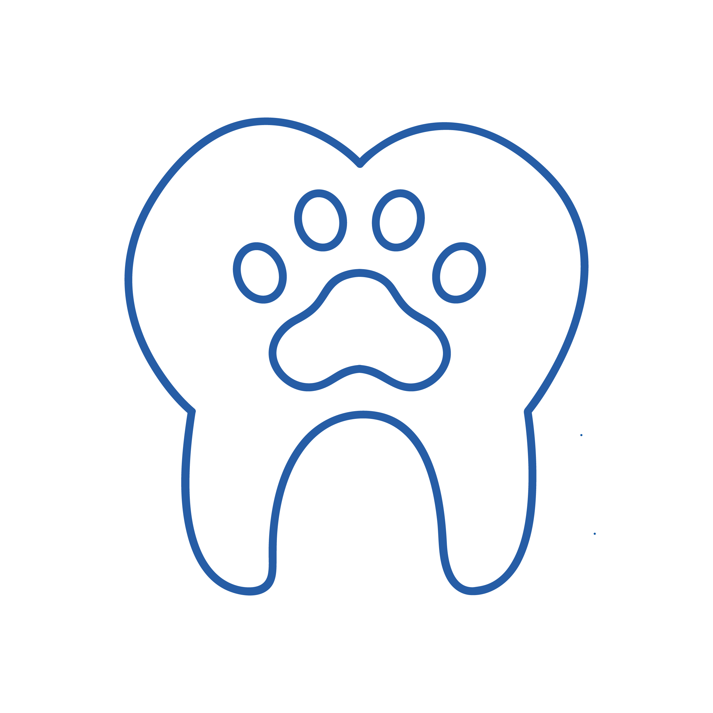 Odontostomatologia