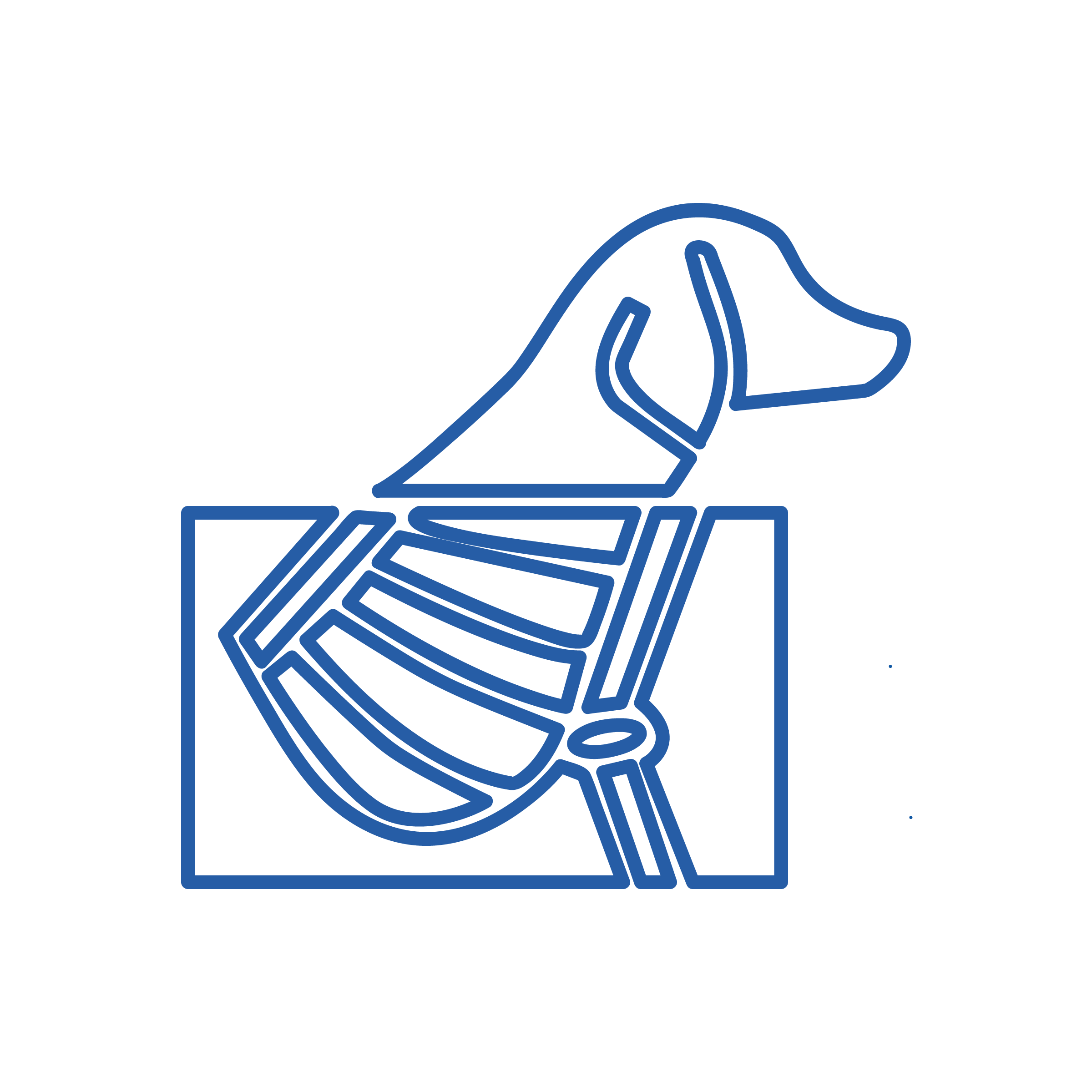 Radiografia Digitale