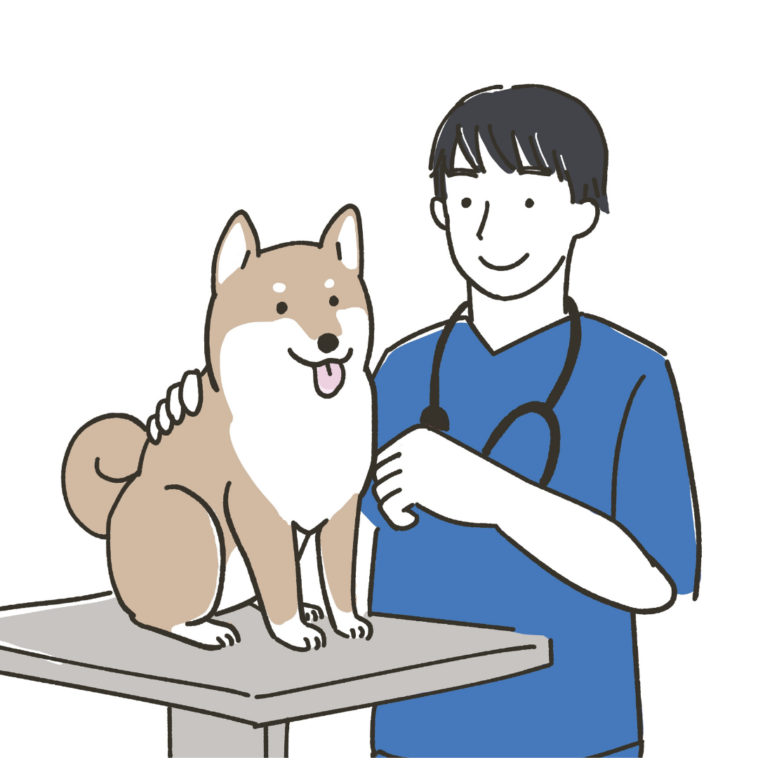 Avatar maschile a sostituzione del medico veterinario dell'Ambulatorio Veterinario San Pietro di Biella